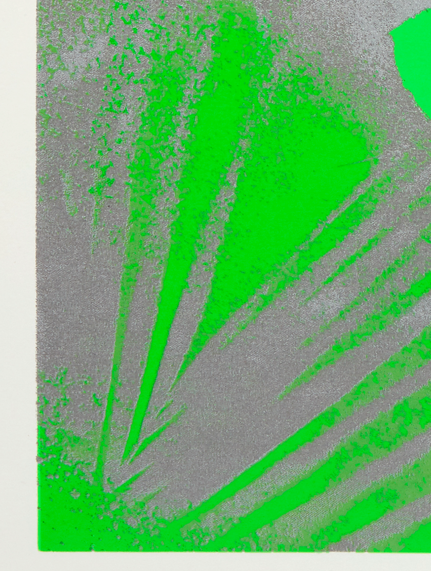 Forecourt Herbarium, 2024