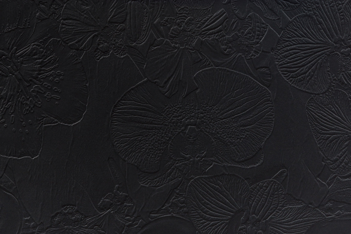 Fossil Record - Oil Strata (2nd layer), 2015