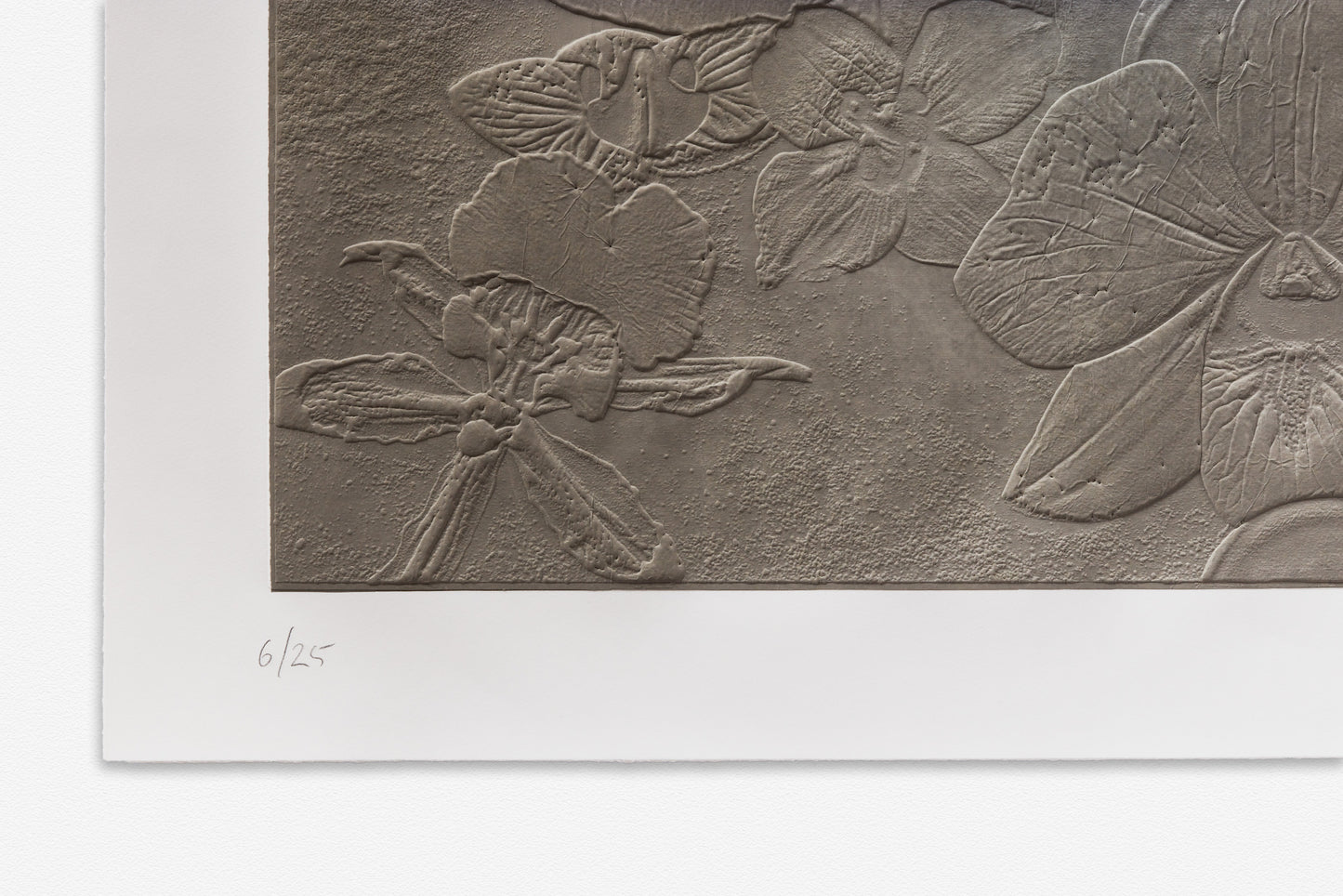 Fossil Record - Concrete Strata, 2015
