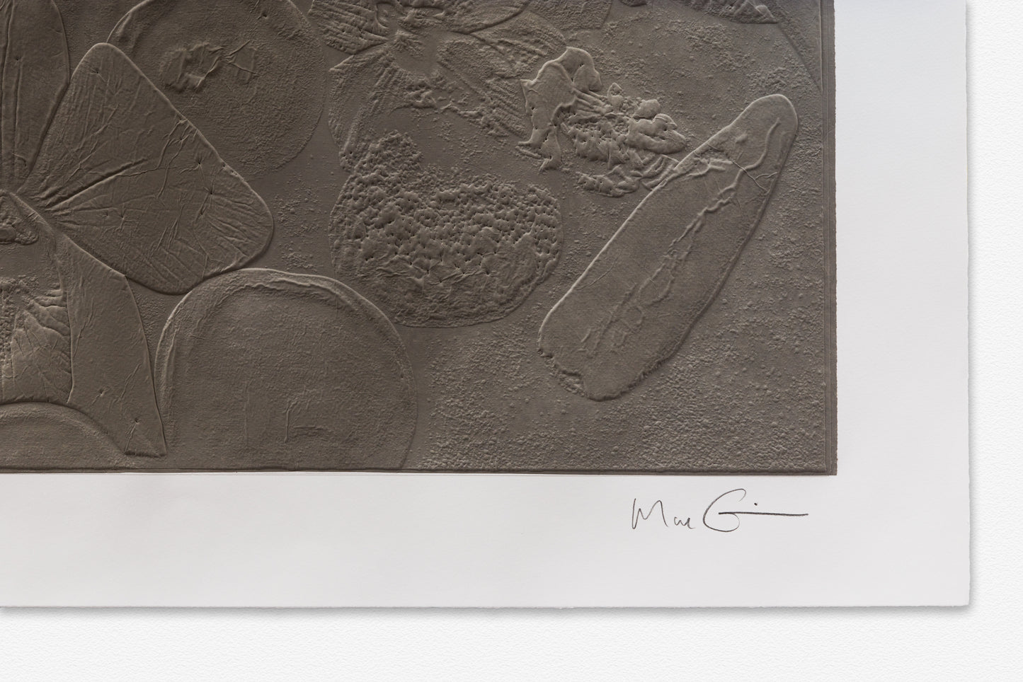 Fossil Record - Concrete Strata, 2015