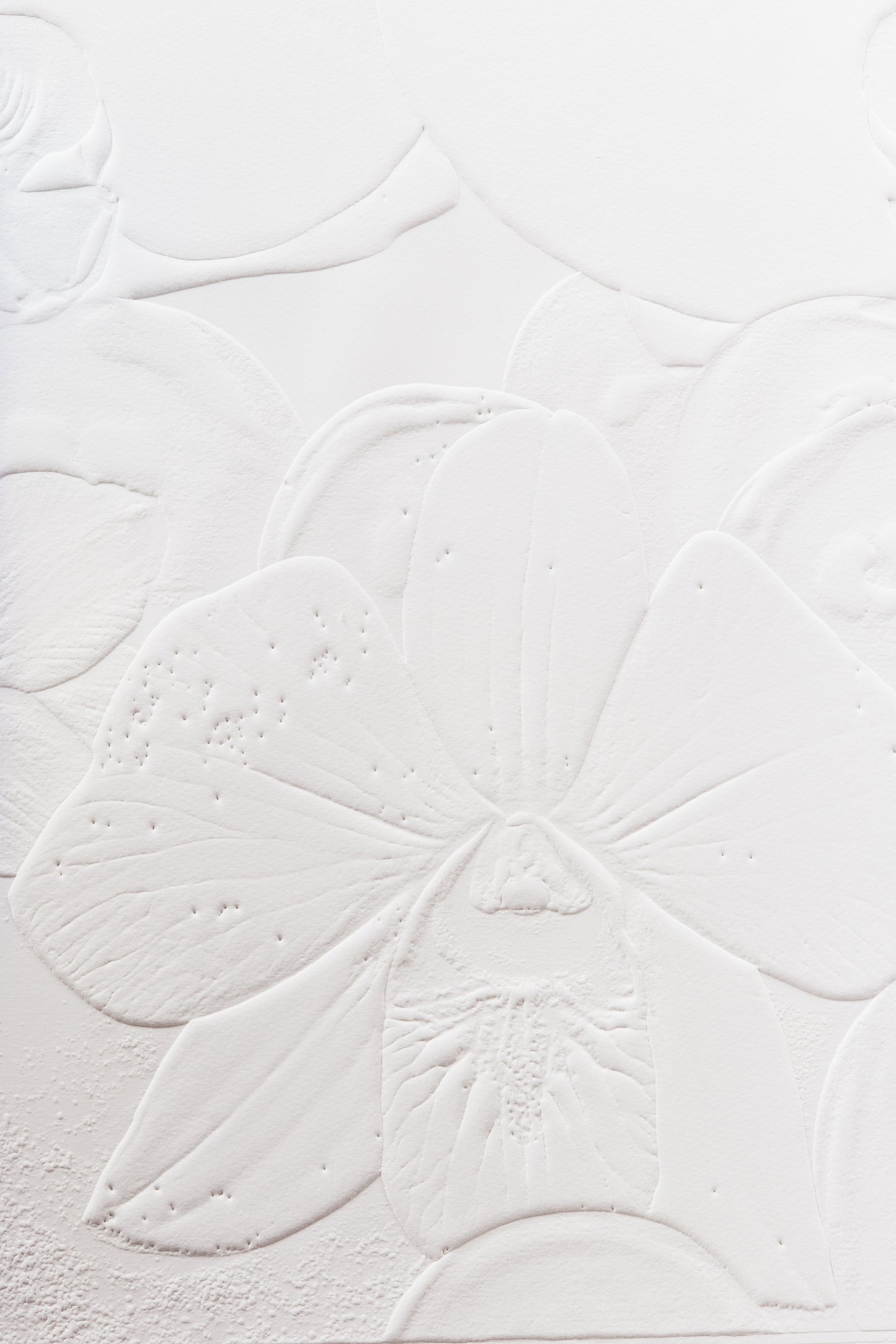 Fossil Record - Ice Strata (1st layer), 2015