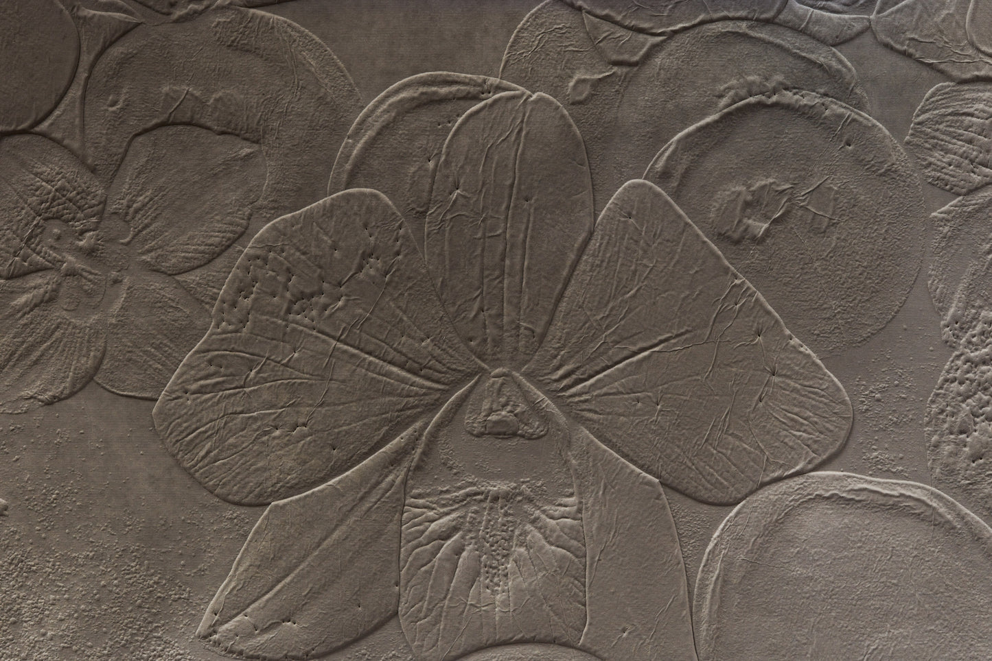Fossil Record - Concrete Strata, 2015