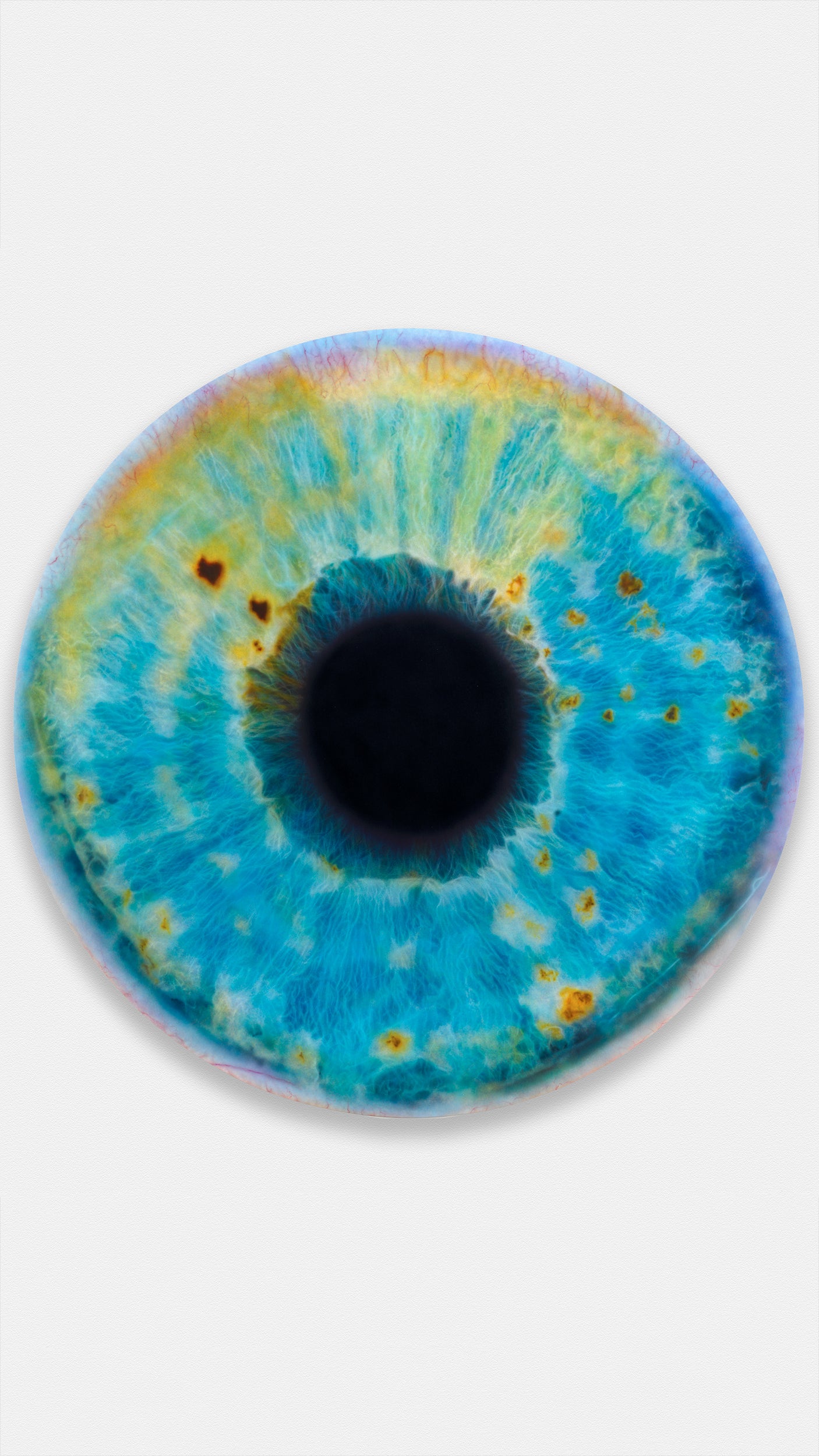 Iris Wallpaper