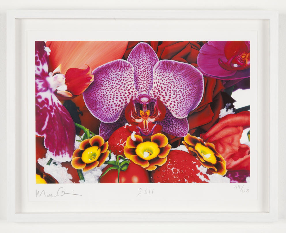 Kashi Sunrise Lotus, 2011