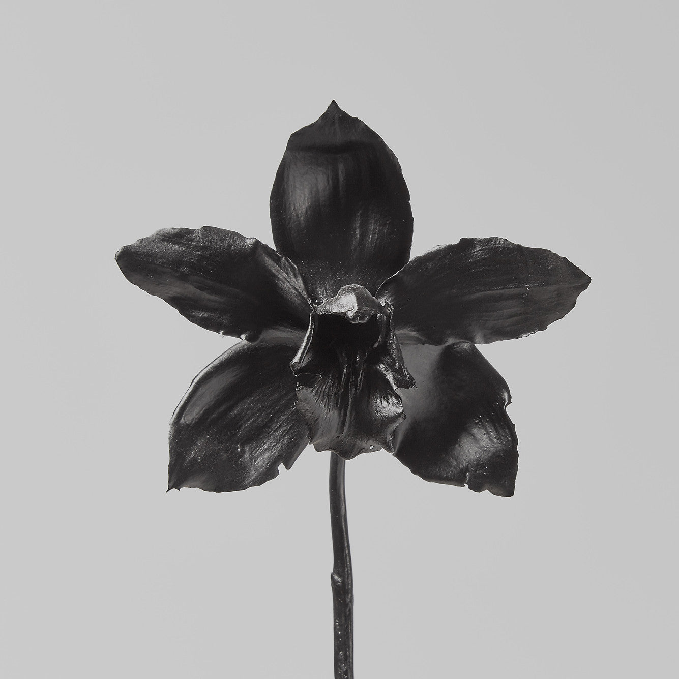 Midnight World, 2014