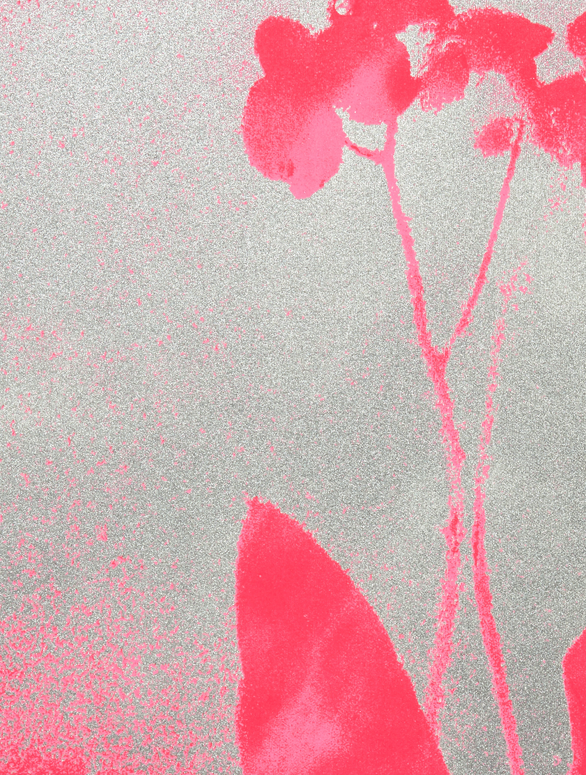 Forecourt Herbarium (L pink)