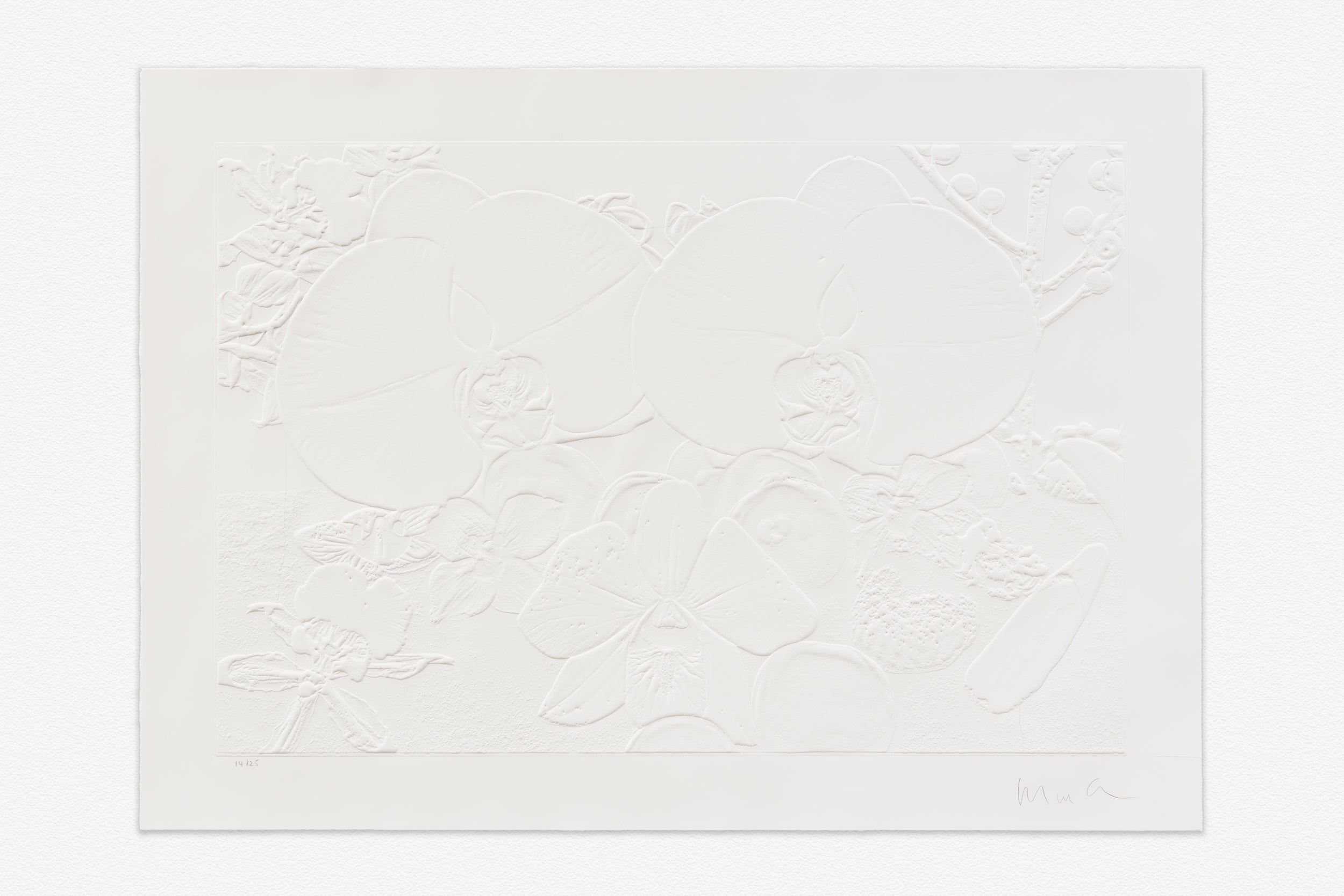 Ice Strata Fossil Record - Ice Strata (1st layer), 2015 – Marc Quinn Studio